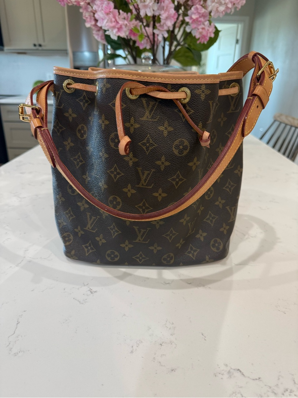 Louis Vuitton Noe Petit